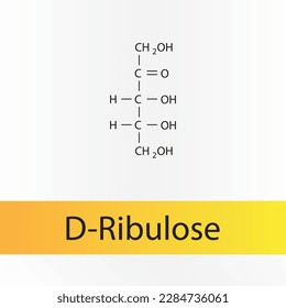 Straight chain form chemical structure of D-Ribulose sugar. Scientific vector illustration on white and orange background.