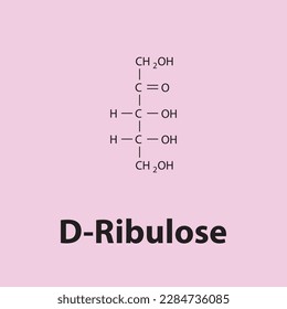 Estructura química de la cadena recta del azúcar de D-Ribulosa. Ilustración vectorial científica sobre fondo rosa.