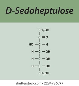 Straight chain form chemical structure of D-Sedoheptulose sugar. Scientific vector illustration on green background.