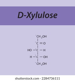 Straight chain form chemical structure of D-Xylulose sugar. Scientific vector illustration on purple background, carbon numbering.