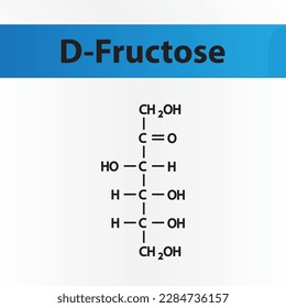 Forma de cadena recta estructura química del azúcar D-Fructosa. Ilustración vectorial científica sobre fondo blanco y azul.