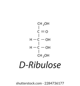Straight chain form chemical structure of D-Ribulose sugar. Scientific vector illustration on white background.