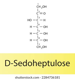 Straight chain form chemical structure of D-Sedoheptulose sugar. Scientific vector illustration on white and yellow background, carbon numbering.