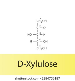 Straight chain form chemical structure of D-Xylulose sugar. Scientific vector illustration on white and yellow background, carbon numbering.