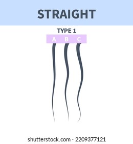 Straight hair type classification system set. Detailed human hair growth style chart. Health care and beauty concept. Vector illustration.