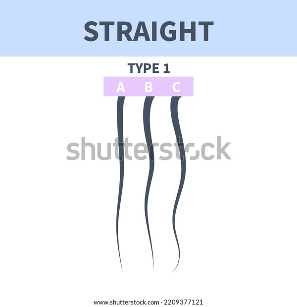 Straight Hair Type Classification System Set: เวกเตอร์สต็อก (ปลอดค่า ...