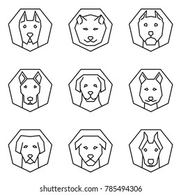 Straight Line Icon Set Dog Head Inside Polygonal, Great Dane, Akita, Pit Bull, Shepherd, Golden Retriever, Siberian Husky, Labrador, Rottweiler, Doberman. Editable Stroke Vector. 