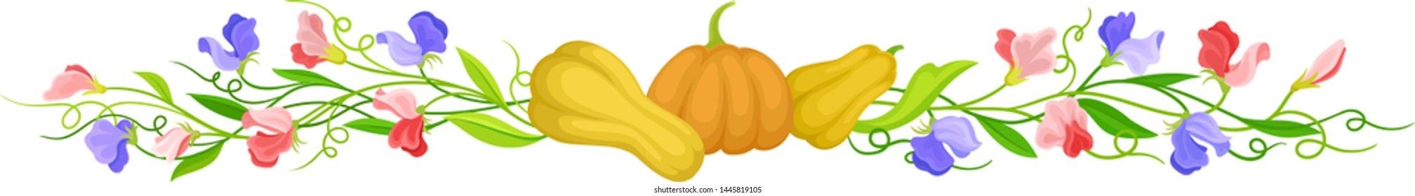 Straight from long stalks with pumpkins. Vector illustration on white background.