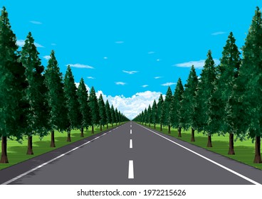 A straight tree-lined road in the plains of nature