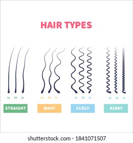 Straight, wavy, curly, kinky hair types classification system set. Detailed human hair growth style chart. Health care and beauty concept. Vector illustration.