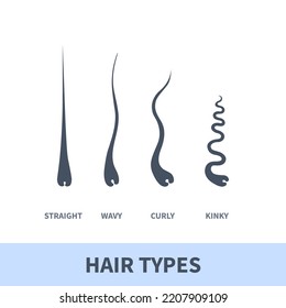 Straight, wavy, curly, kinky hair types classification system set. Detailed human hair growth style chart. Health care and beauty concept. Vector illustration.