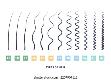 Straight, wavy, curly, kinky hair types classification system set. Detailed human hair growth style chart. Health care and beauty concept. Vector illustration.