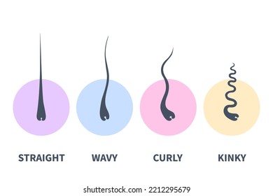 Straight, wavy, curly, kinky hair types classification system set. Detailed human hair growth style chart. Health care and beauty concept. Vector illustration.