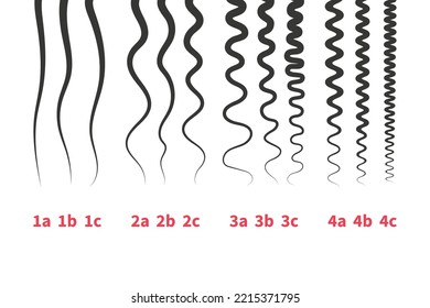 Straight, wavy, curly, kinky hair types classification system set. Detailed human hair growth style chart. Health care and beauty concept. Vector illustration.