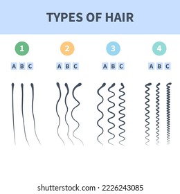 Straight, wavy, curly, kinky hair types classification system set. Detailed human hair growth style chart. Health care and beauty concept. Vector illustration.