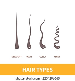 Straight, wavy, curly, kinky hair types classification system set. Detailed human hair growth style chart. Health care and beauty concept. Vector illustration.