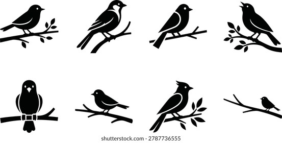 Straightforward bird icons on branches for clean identification and ecological project designs in monochrome style.