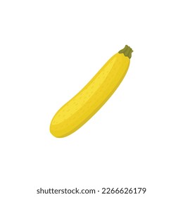 Straightneck squash,  yellow squash. Yellow summer squash. Vector illustration isolated on white background. For template label, packing, web, menu, logo, textile, icon