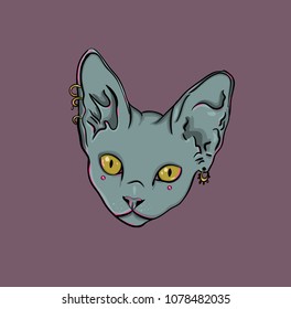 Strange Beautiful Cat