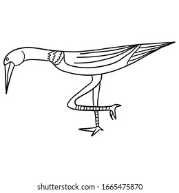 A strange bird suitable for a coloring book