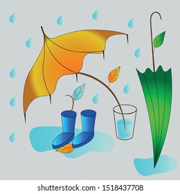 Strange umbrellas,rainy autumn day,wet boots in puddles,leaves of different colors 