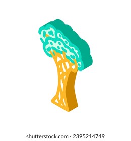 strangler fig jungle amazon isometric icon vector. strangler fig jungle amazon sign. isolated symbol illustration