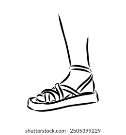 strap sandal outline drawing vector, strap sandal in a sketch style,