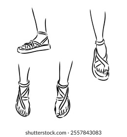 strap sandal outline drawing vector, strap sandal in a sketch style,