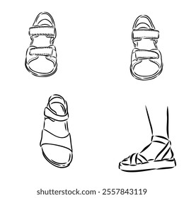 strap sandal outline drawing vector, strap sandal in a sketch style,