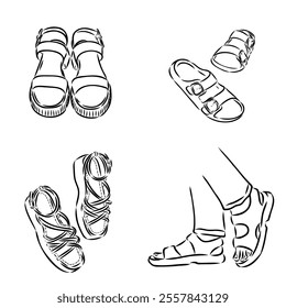 strap sandal outline drawing vector, strap sandal in a sketch style,