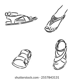 strap sandal outline drawing vector, strap sandal in a sketch style,