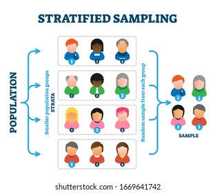 Stratified sampling example, vector illustration diagram. Research method explanation scheme with person symbols and stages. Population groups called strata and picking random sample from each group.