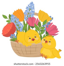 Straw basket with spring flowers and funny fluffy yellow chicks. Easter wicker basket. Vector kids illustration for posters, cards, invitations