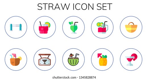 straw icon set. 10 flat straw icons.  Simple modern icons about  - bars, coconut drink, cocktail, bar, beach bag, Cocktail