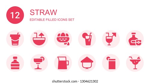 straw icon set. Collection of 12 filled straw icons included Beverage, Cocktail, Nest, Lemonade, Cocktails, Whiskey, Kasa, Drink