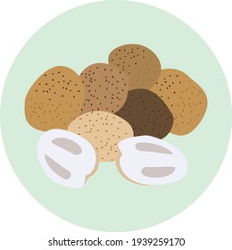 Straw Mushroom vector illustrator isolated on green circle background in vegetable and healthy food concept.