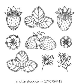 Strawberries berries, flowers and  leaves set in doodle style. Floral, ornamental, tribal, decor design. Decorative summer nature elements. Black and white background. Coloring book page