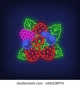 Strawberries, blueberries, red currants and raspberry neon sign. Food, fruit, berry, vitamin design. Night bright neon sign, colorful billboard, light banner. Vector illustration in neon style.