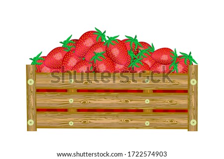 Strawberries in box isolated on white background. Crate of juicy strawberries. Eco farm, market, transportation. Bountiful harvest. For label, package, poster, banner, icon. Stock vector illustration