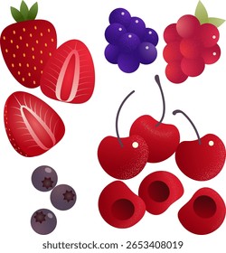 Strawberries, cherries, raspberries, blueberries – whole and sliced. Vector berry set for food packaging, cookbooks, menus, bakery, dessert illustrations.