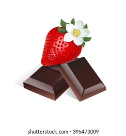 strawberries with chocolate and flower vector