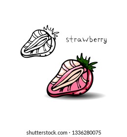Strawberries, strawberries contour and color image in section. Drawn by hand.
