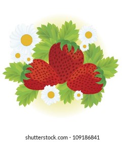 Strawberries and daisy flowers close-up vector illustration on white background