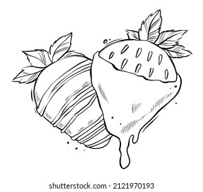 Strawberries dipped in chocolate, monocrome vector illustration