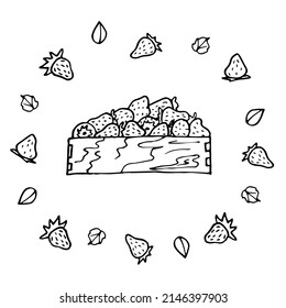Strawberries doodle in box isolated on white background. Crate of juicy strawberries. Eco farm, market, transportation. Bountiful harvest. For label, package, poster, banner, icon. Vector illustration