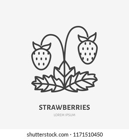 Strawberries flat line icon, forest berry sign, healthy food logo. Illustration for natiral food store.