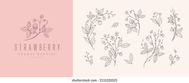 Strawberries floral branch flowers and logo set. Hand drawn line herb, elegant leaves for invitation save the date card. Botanical rustic trendy greenery