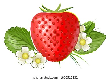 Strawberries with flowers and leaves. One. Vector illustration isolated on white background. Large ripe red berry. Logo, label. Art