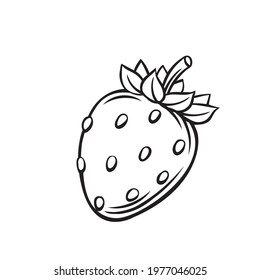 Strawberries Fruit Berry Outline Vector Icon, Drawing Monochrome Illustration. Healthy Nutrition, Organic Food, Vegetarian Product.