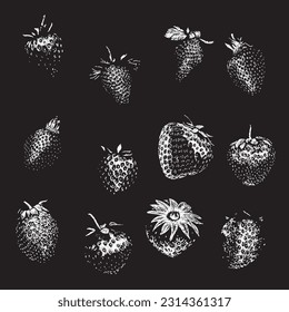 strawberries hand drawing vector isolated on black background.